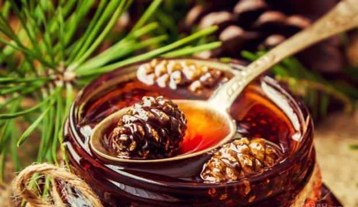 Çam kozalağın faydaları nelerdir? Çam kozalağı astıma iyi gelir mi?