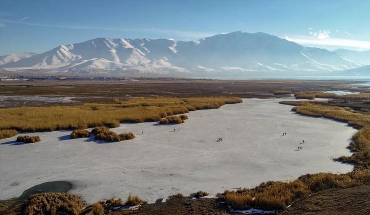 Van'da donan sazlıklar fotoğraf tutkunlarının uğrak yeri oldu
