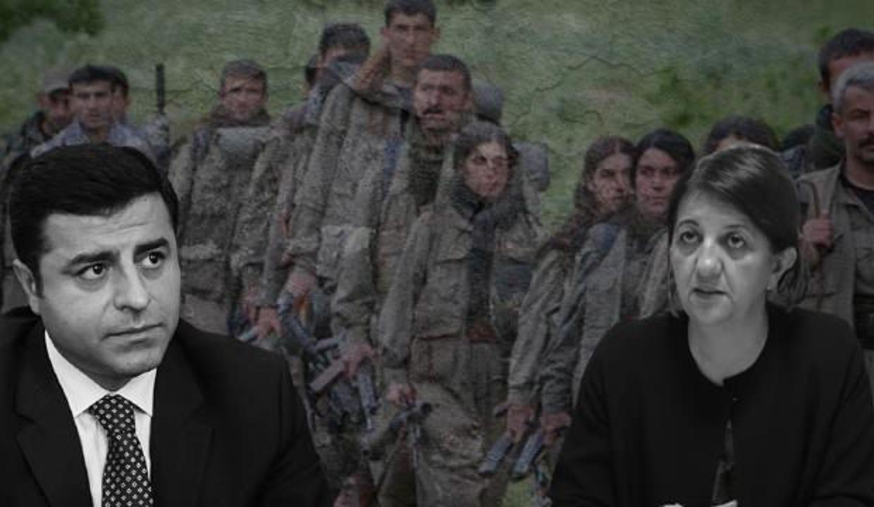 HDP'nin 'kınama' oyunu: PKK'yla bağlantıları yokmuş!