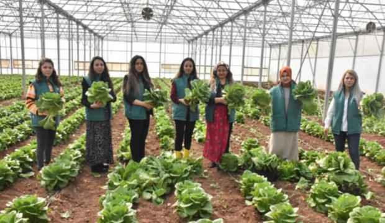 Gaziantep'te 7 kadın kurdukları kooperatifle Almanya'ya 700 bin liralık ihracat yapmayı başardı