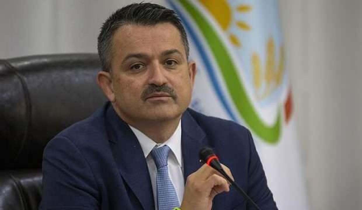 Bakan Pakdemirli: Kadınlarımızın her zaman yanındayız