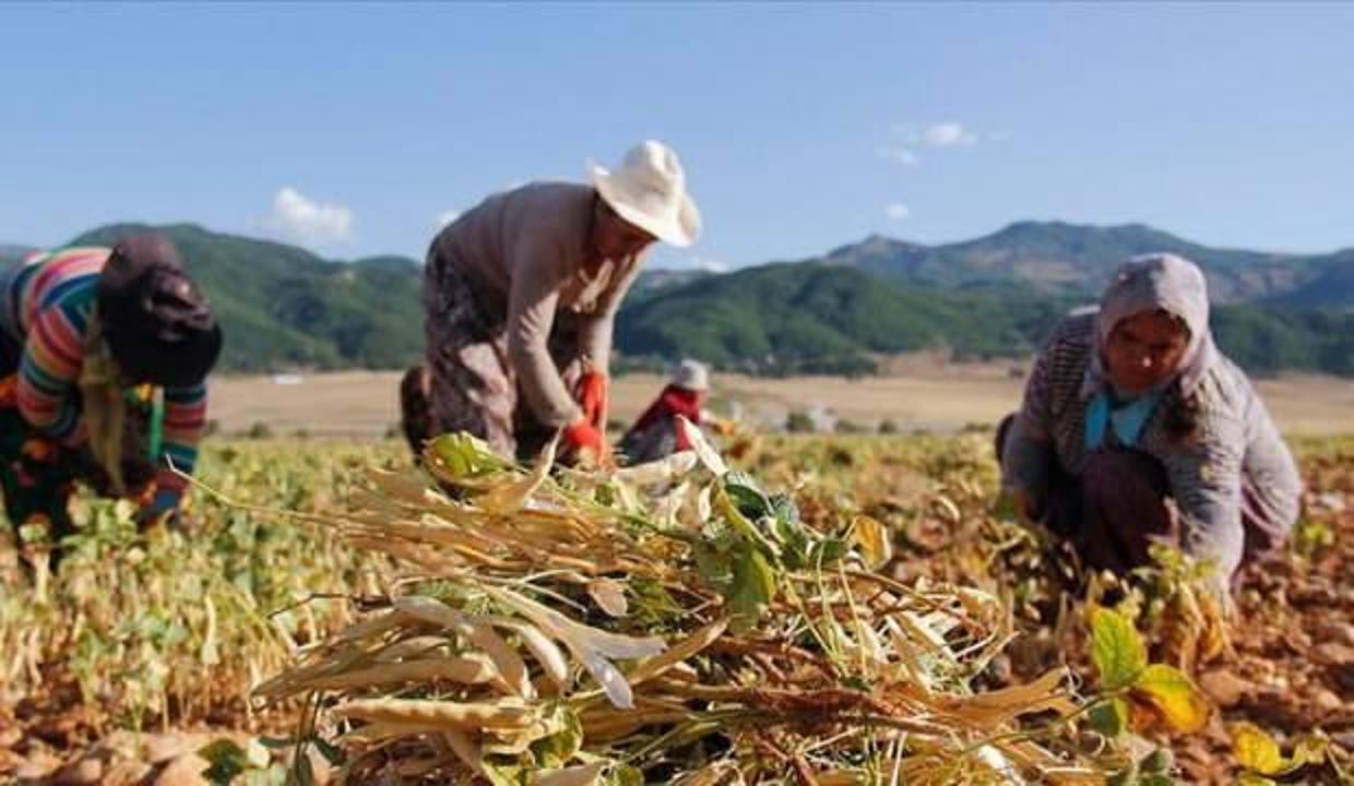 Kadın çiftçiler için yıpranma hakkı talep etti