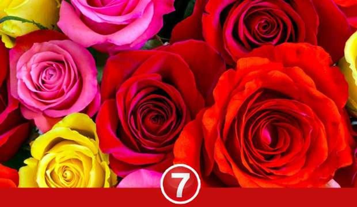 Rüyada kırmızı gül görmek neye işaret? Rüyada gül toplamak nasıl ne demek?