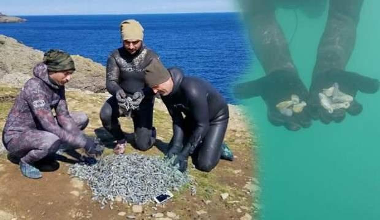Hobi olarak daldıkları denizden 51 kilo olta kurşunu çıkardılar!