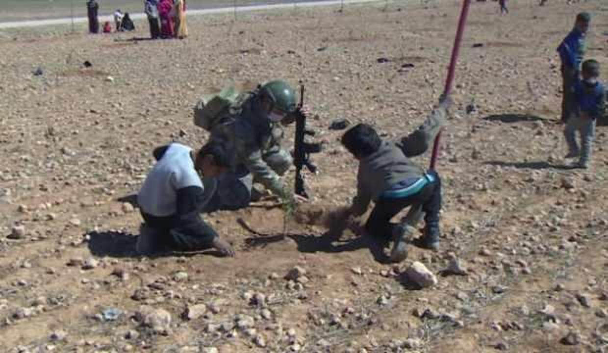 Mehmetçik, Tel Abyad’da anlamlı ağaçlandırma hareketi