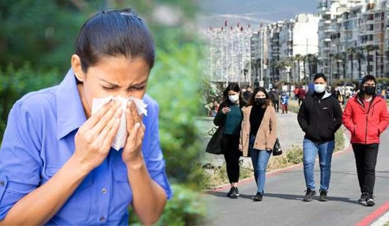 Baharda polen tehlikesi! Bağışıklığı düşürüyor, koronavirüsü tetikliyor