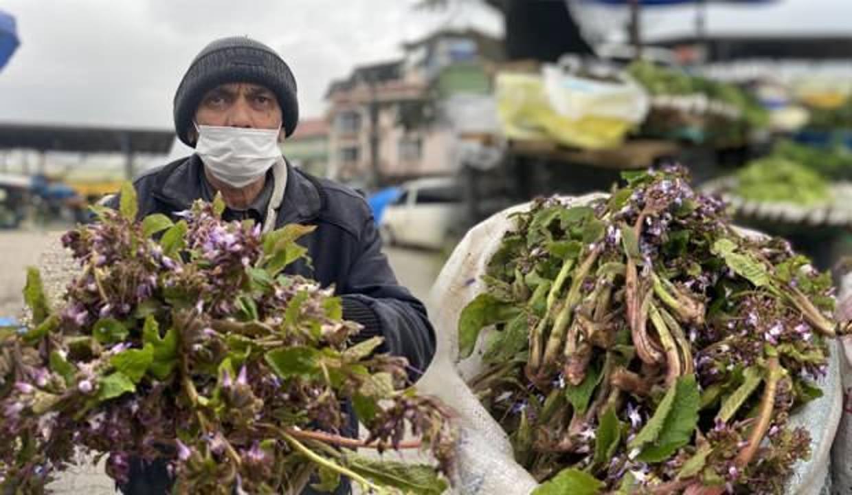 Şifa deposu kaldirik otu! Faydaları saymakla bitmiyor