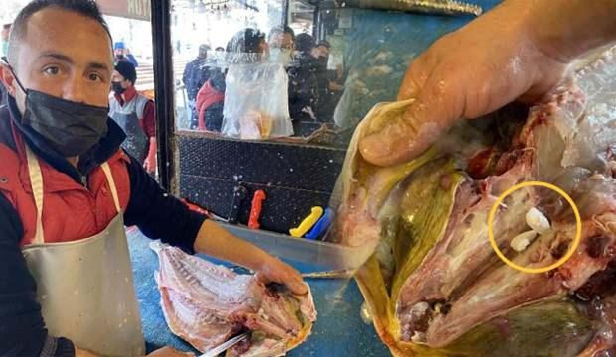 Böbrek hastalarının yeni tercihi kaya levreği taşı yoğun talep görüyor!