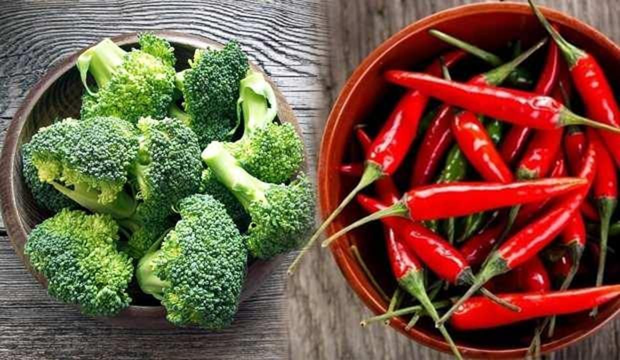 Metabolizma çalıştıran besinler nelerdir?