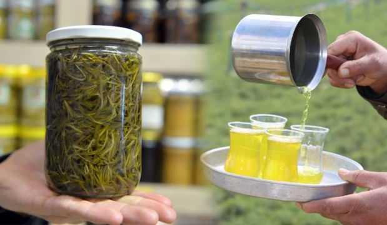 Zahter bitkisi 4 ayda toplanıyor, kilogramı 20 liradan satılıyor!