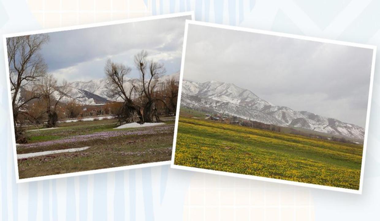 Tunceli’den masalsı fotoğraflar