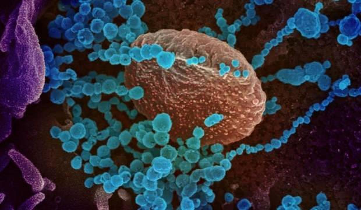 Bir kişide 2 mutant virüs birden görüldü! 52 katlı rezidans karantinada