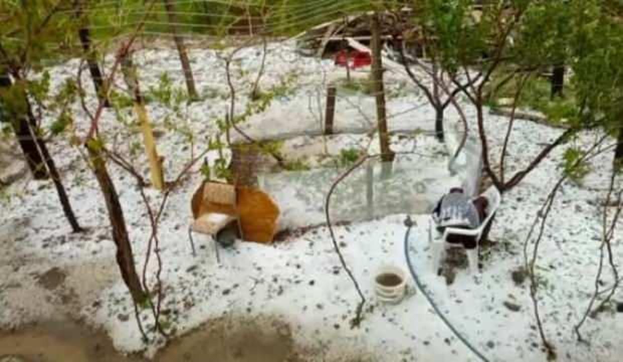 Elazığ'da dolu yağışı; tarım arazileri zarar gördü