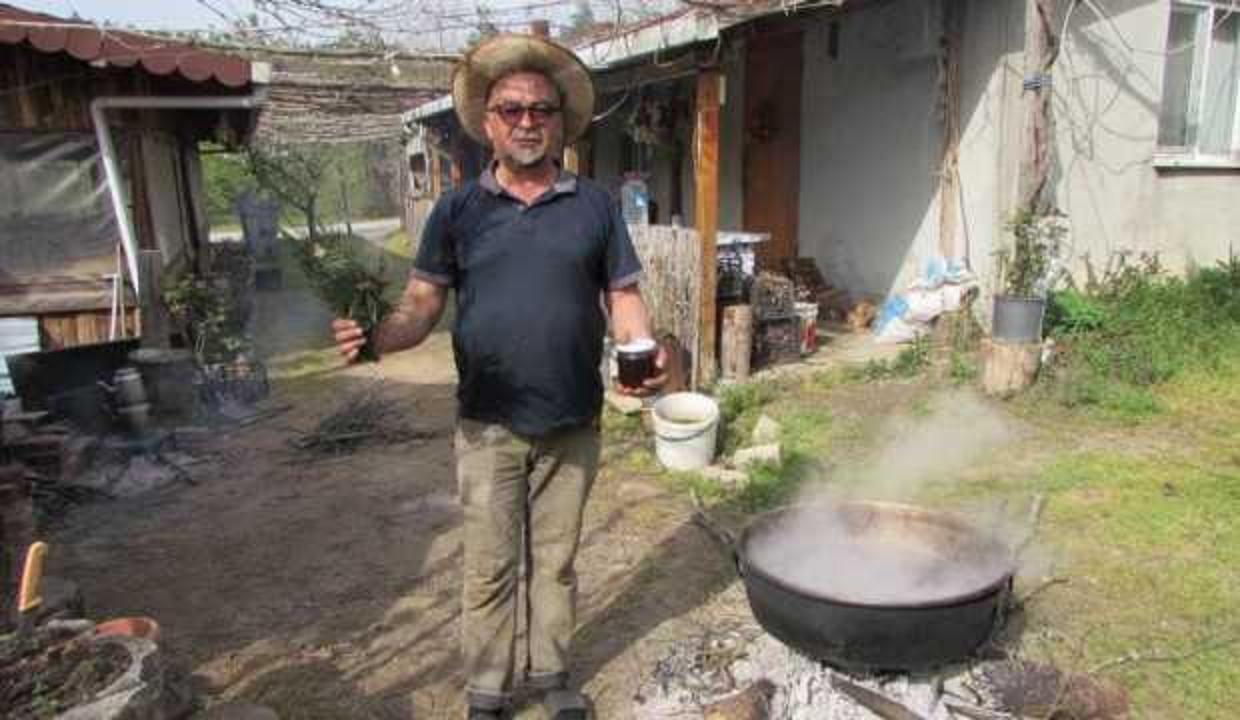 Koah hastası eşini çam kozalağından yaptığı şurupla tedavi etti!