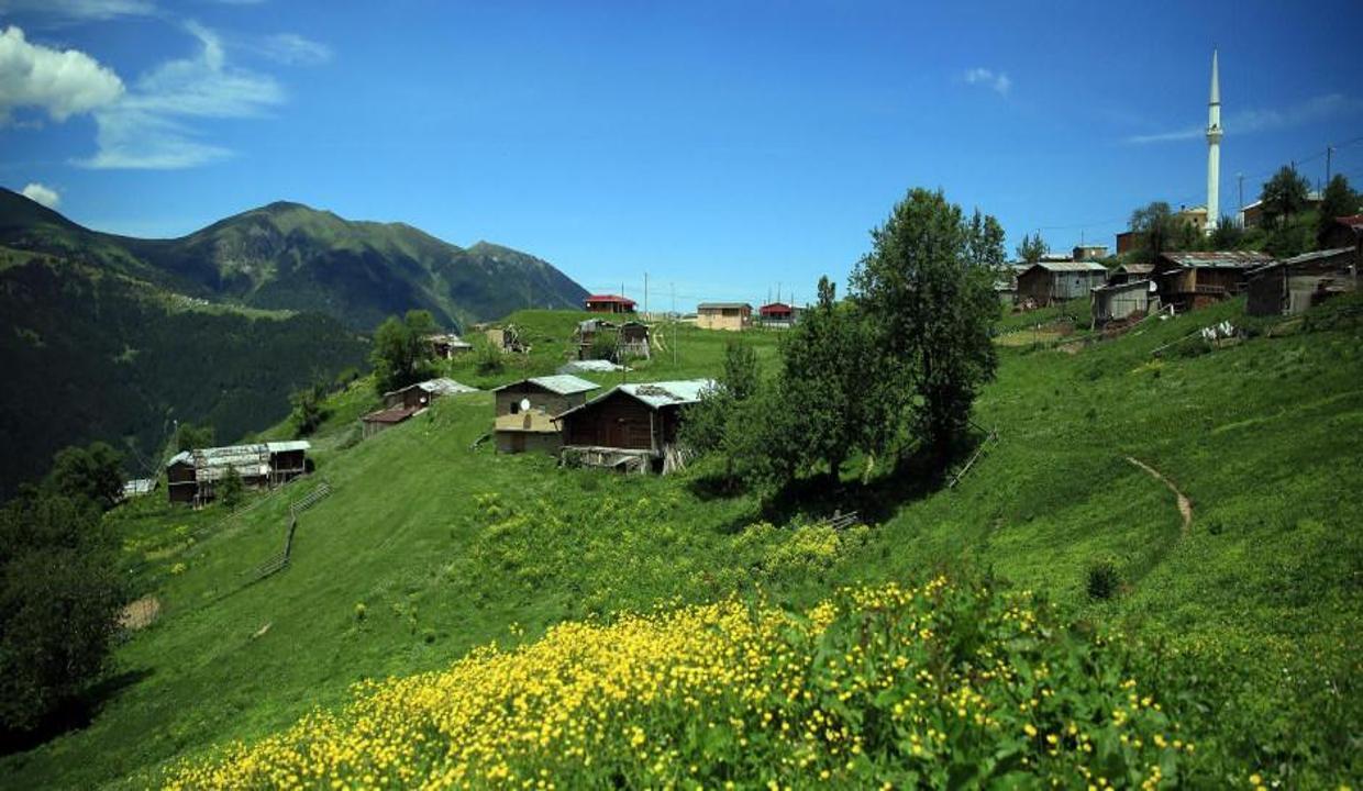 Koronavirüs görülmeyen yayla: Petran