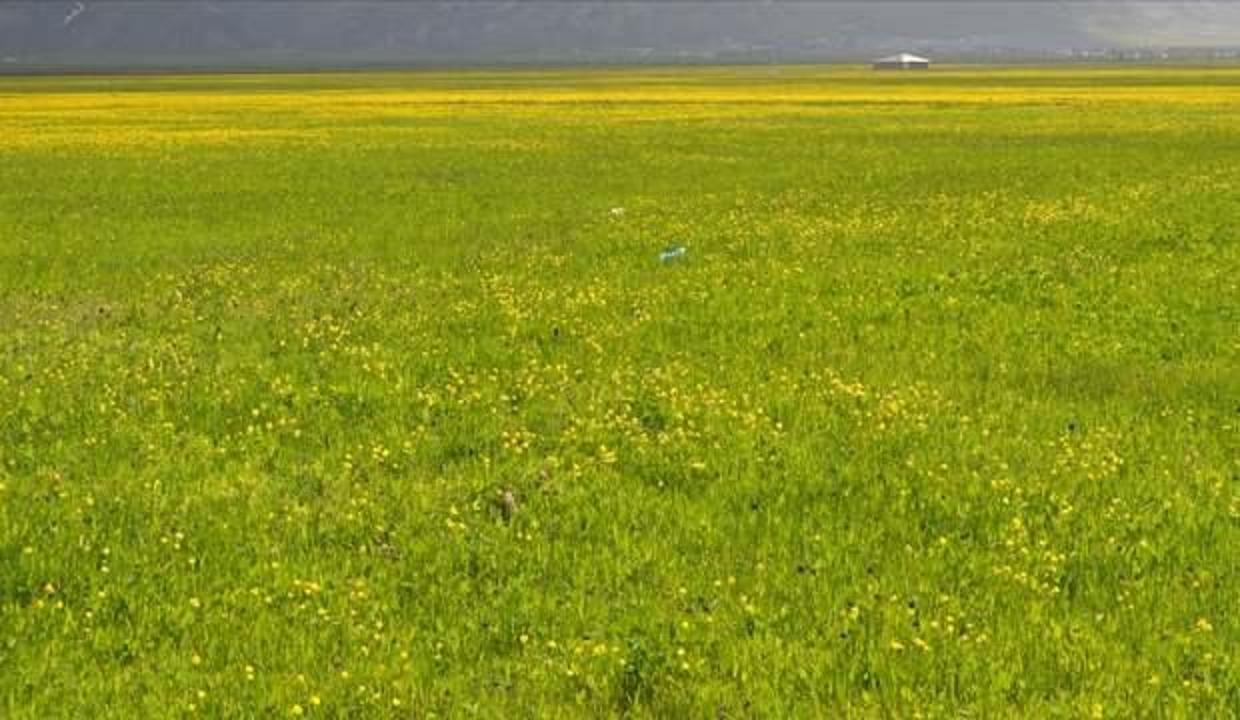 61 ova 'büyük ova koruma alanı' olarak belirlendi