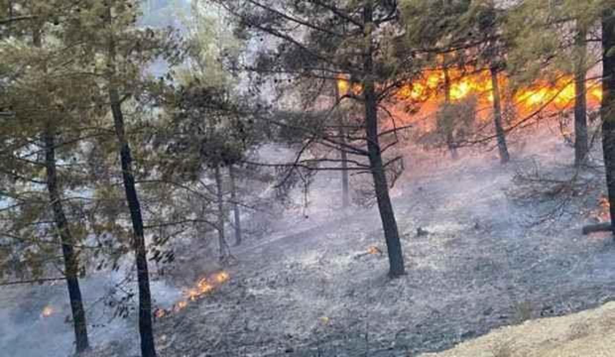 Muğla Ortaca'da korkutan yangın!