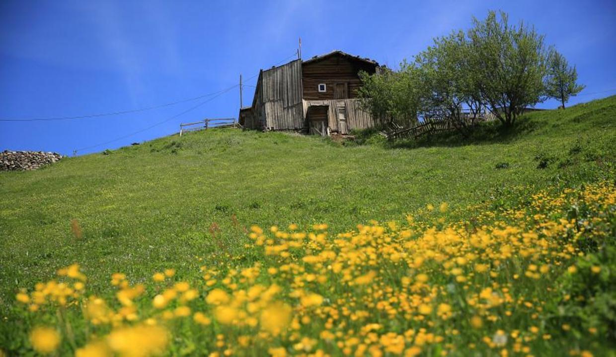 Karadeniz’e 'doğa tatili' ilgisi