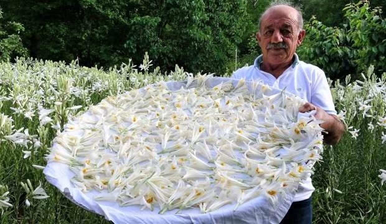 Emekli maaşıyla geçinemiyordu, hobisi hayatını değiştirdi!