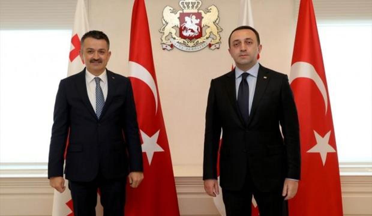 Türkiye ile Gürcistan arasında yeni iş birliği anlaşması