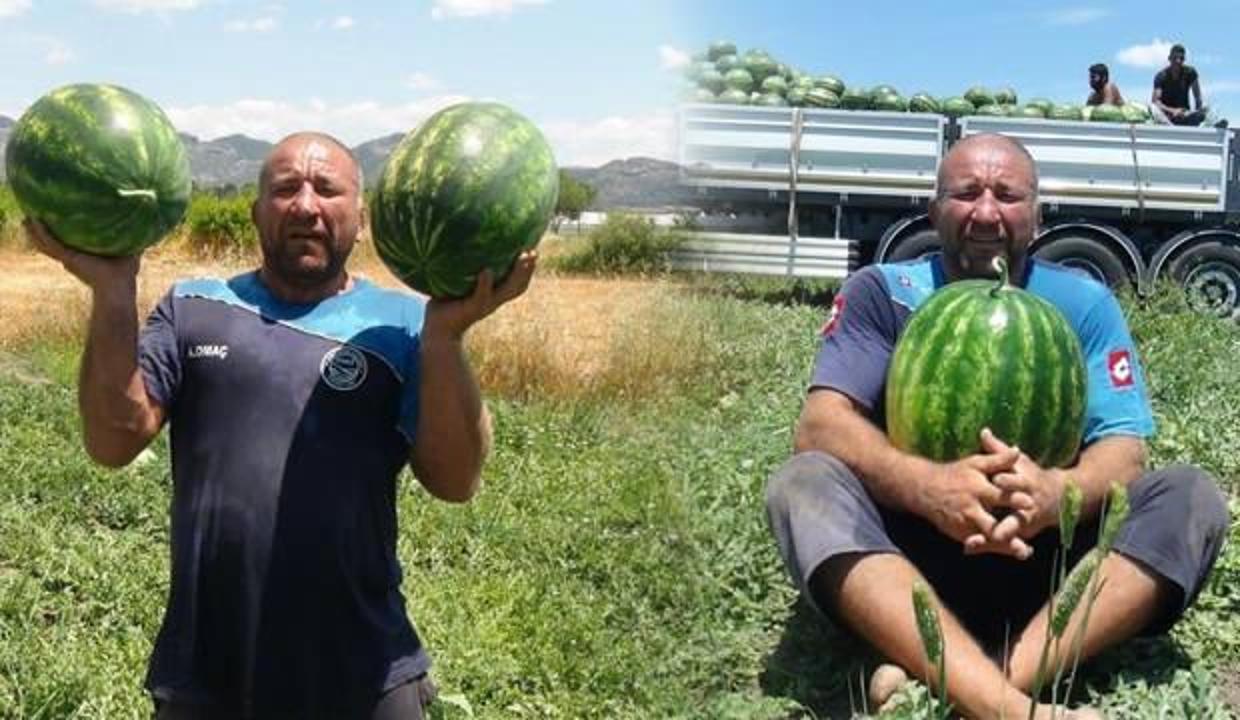 Antalya'da 15 kilogramlık karpuzlarla dünya şampiyonasına hazırlanıyor