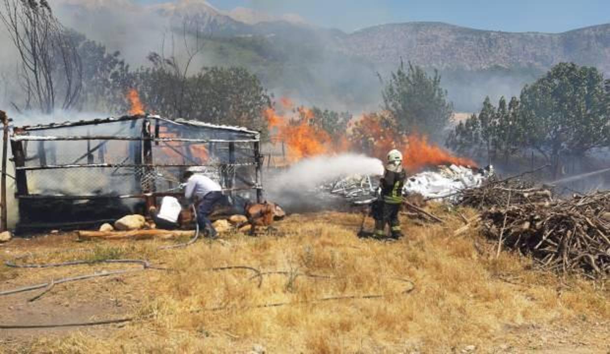 Yangında 9 koyun ve 10 tavuk telef oldu