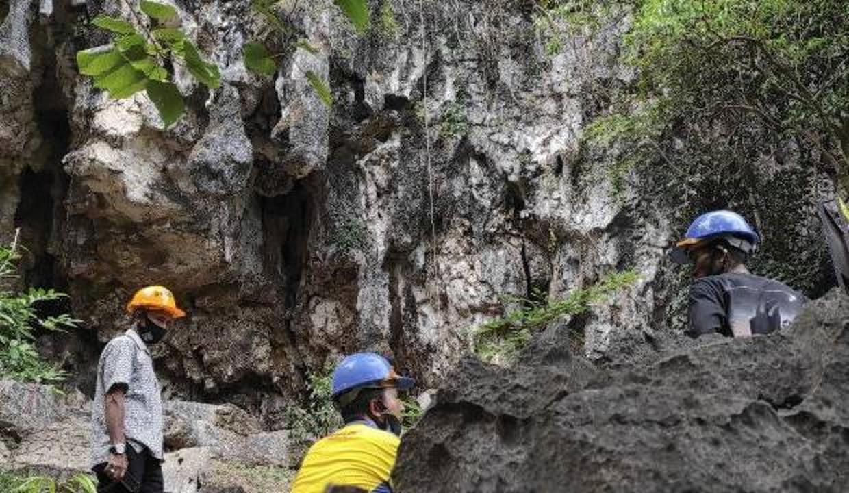 Dünyanın en eski mağara resimleri yok oluyor