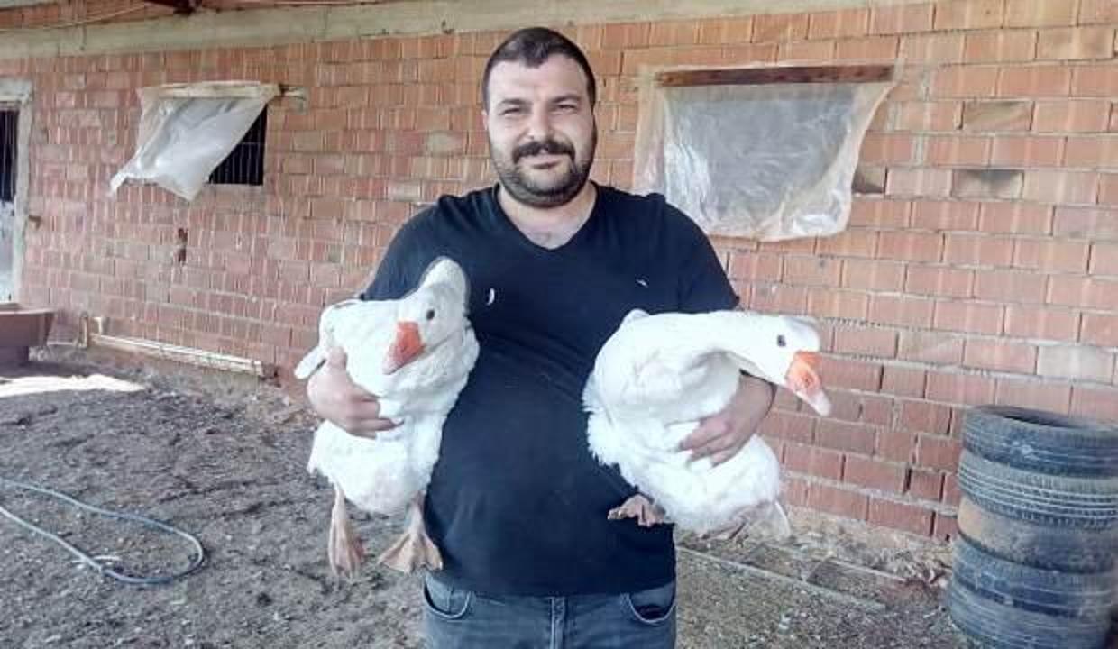 Huzuru bulduğu 'Mast kazı' üretiminde 9 ayda 800 kaza ulaştı