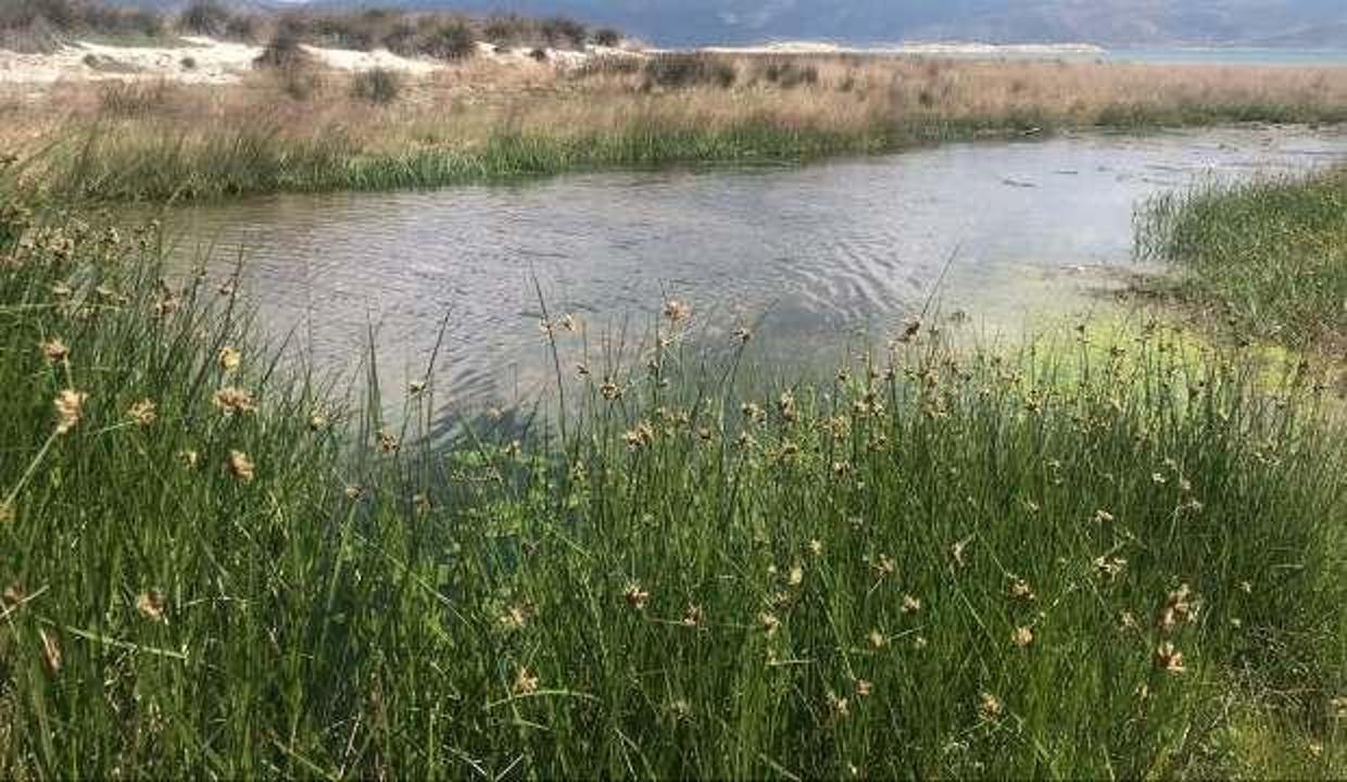 Salda Gölü'nün sarıya dönen renginin sebebi açıklandı!