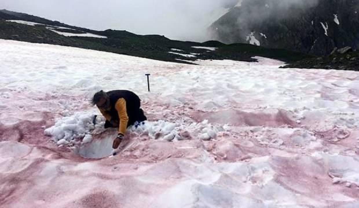 Alp dağlarında 'kırmızı kar' görüldü