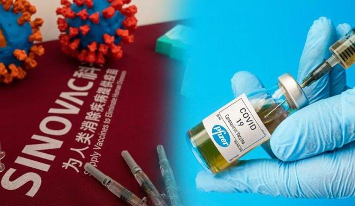 Biontech mi Sinovac mı daha iyi? Koronavirüs aşısının yan etkileri neler? Aşı yapılan kolda ağrı...