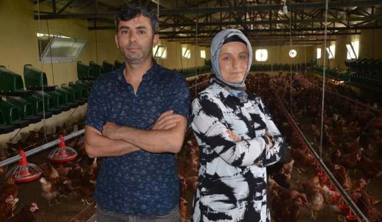Ordu'da anasınıfı öğretmeni organik yumurta üretiyor, Dubai ve Almanya'ya ihraç ediyor!