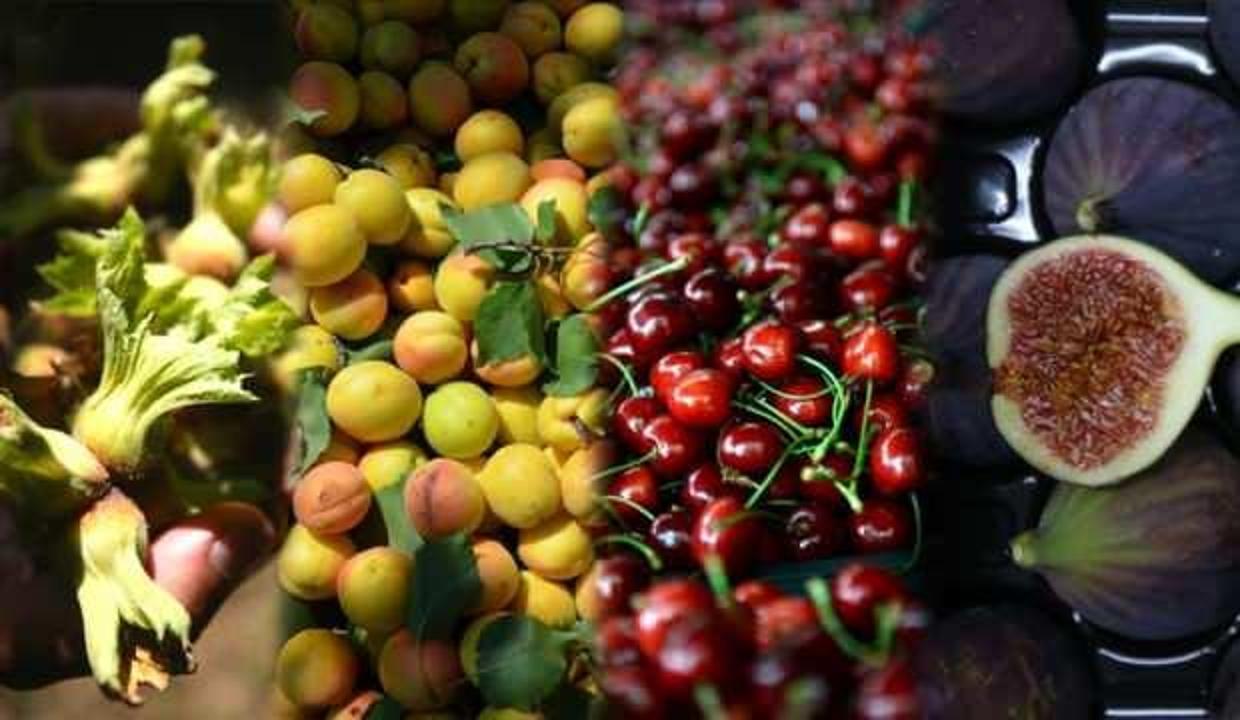 Türkiye bu ürünlerde dünyada birinci sırada