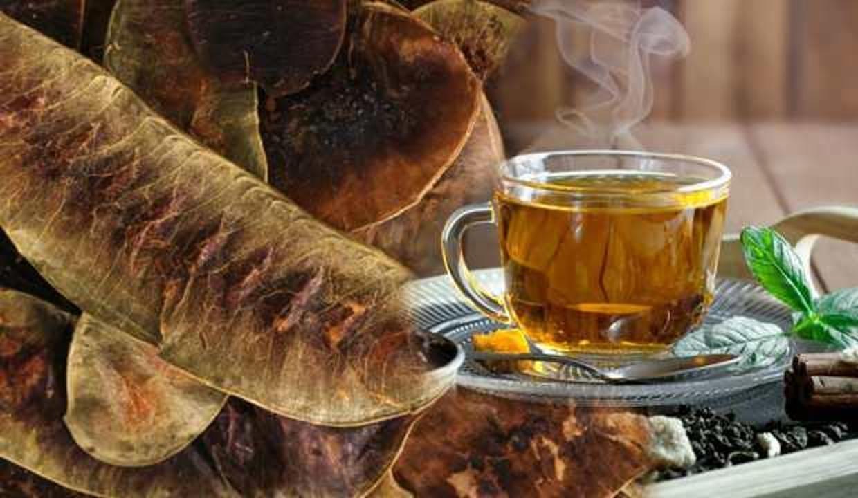 Açlık otu faydaları nelerdir? Deve gözü otu zayıflatır mı? Açlık otu çayı nasıl hazırlanır?