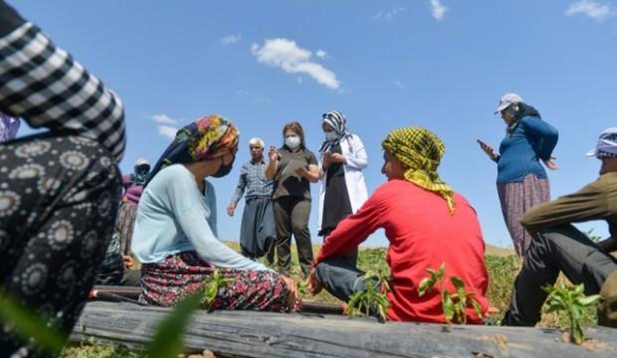 Mevsimlik işçiler aşıya gidemedi, sağlık ekipleri tarlaya indi