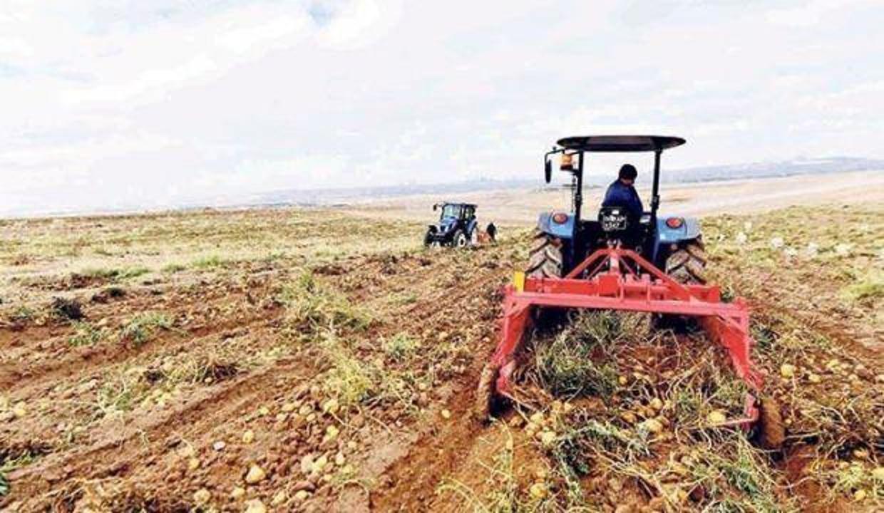Tarım Kredi’de katılım bankası planı