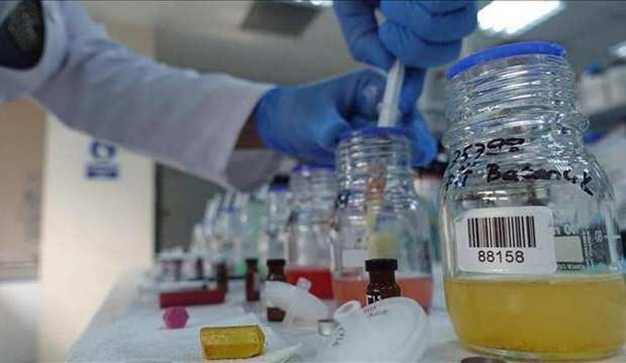 Türkiye'den komşularına 6 ayda 9,1 milyar dolarlık ihracat