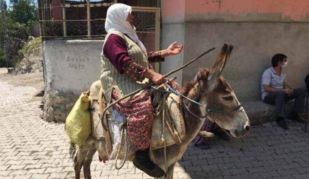 Amasya'da yaşlı kadın eşek üstünde aşı olurken ekiplere şiir okudu!