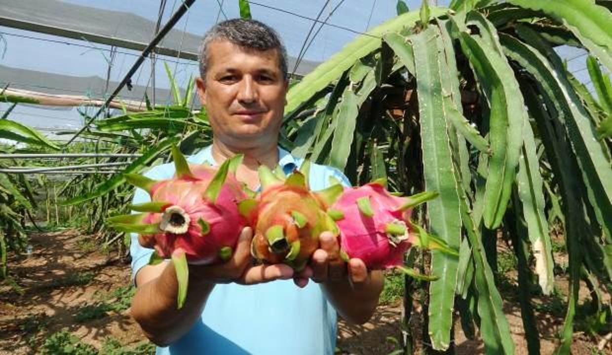 Şeker hastası babası için yetiştirmeye başladı, siparişlere yetişemiyor!