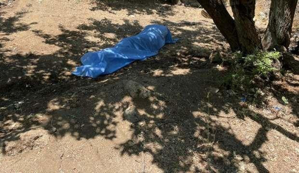 Hatay'da bir kişi kayısı bahçesinde ölü bulundu