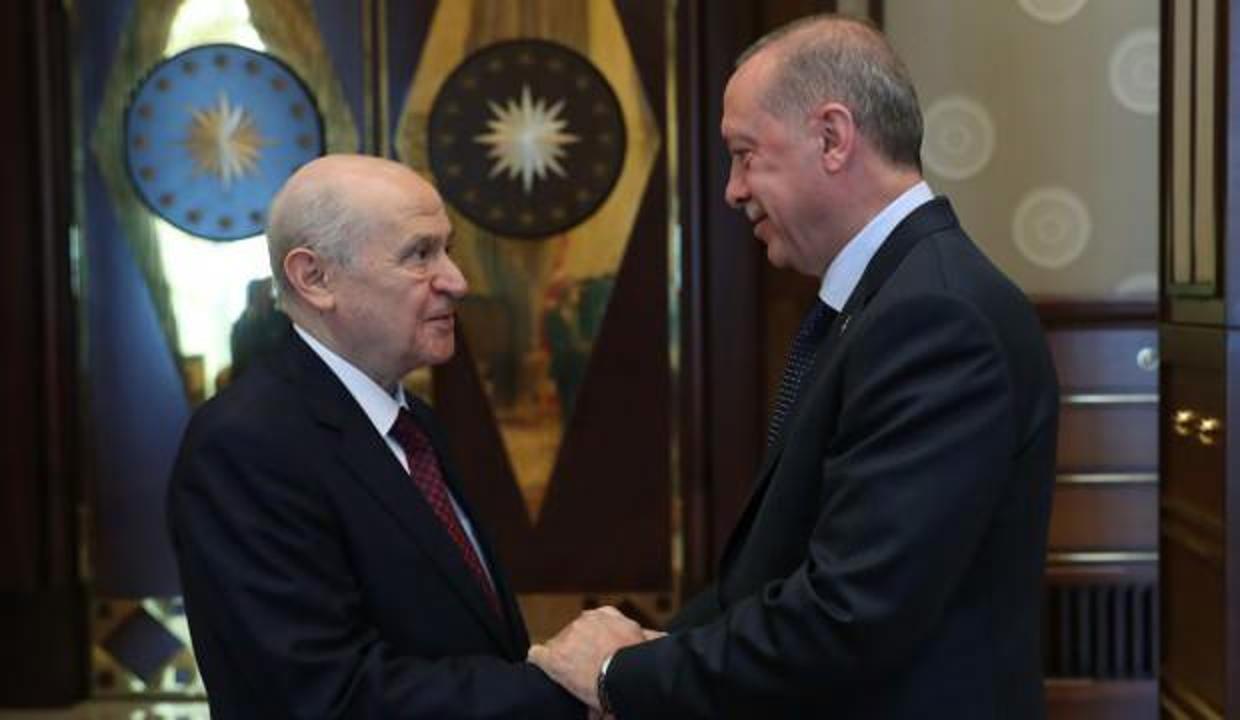 Devlet Bahçeli'den, Başkan Erdoğan'a anlamlı hediye