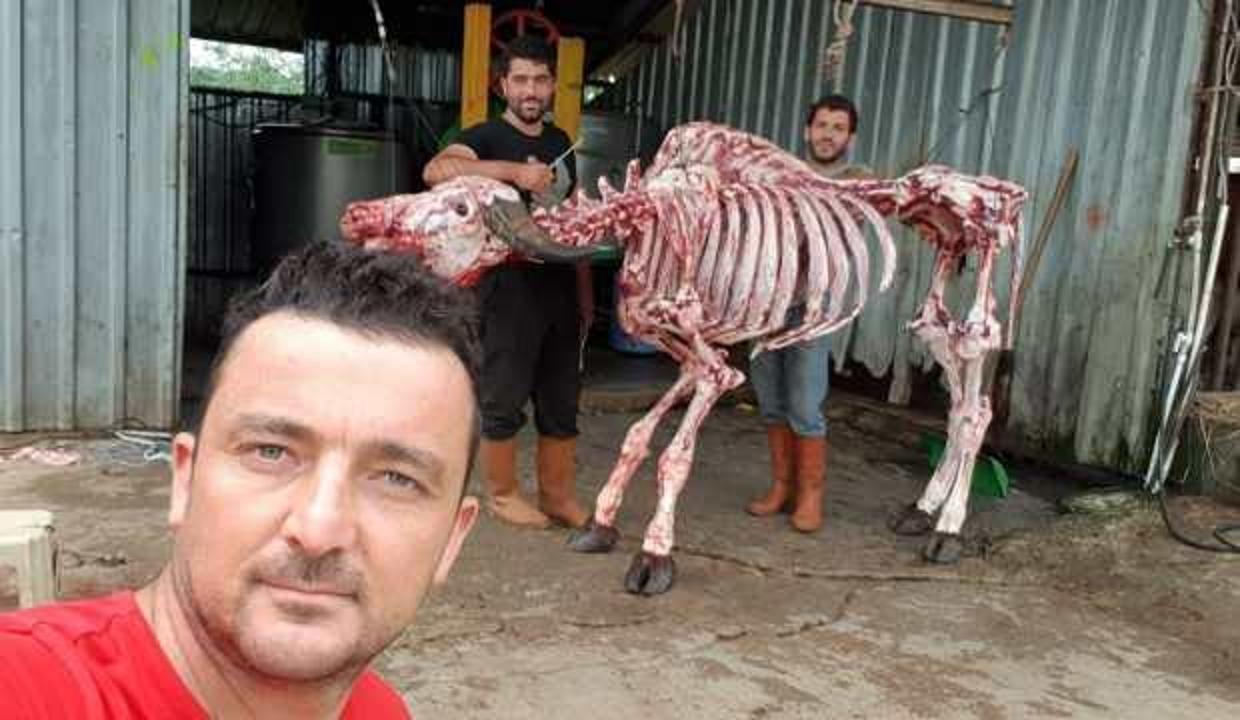4 yıl önce fenomen olduğu ilginç kurban kesimini bu yıl da tekrarladı!
