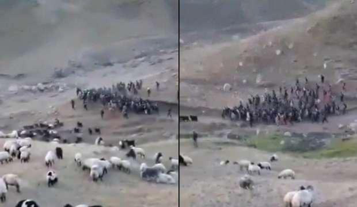 Erciş Kaymakamlığından "düzensiz göçmen" açıklaması