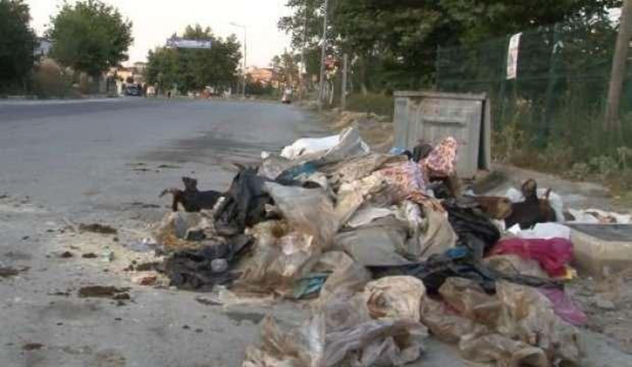 İstanbul'da isyan ettiren görüntü: Kurban kafalarını yola attılar