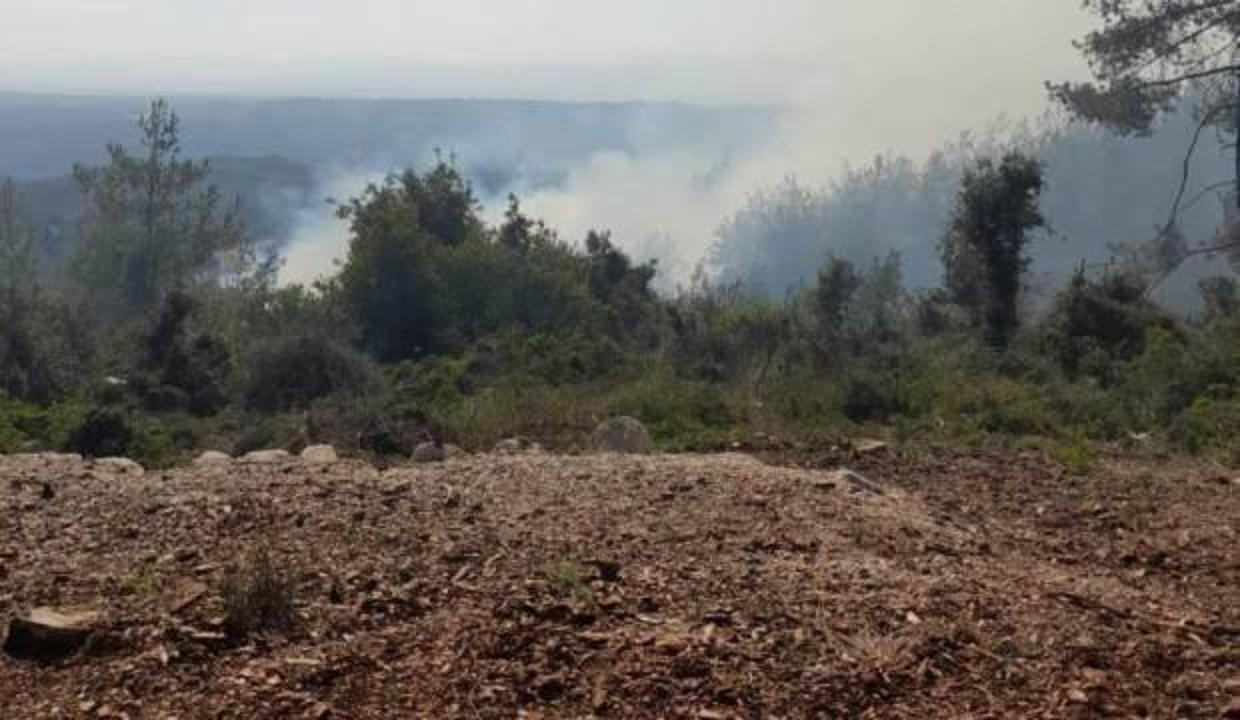 Osmaniye’de çıkan orman yangını büyümeden söndürüldü