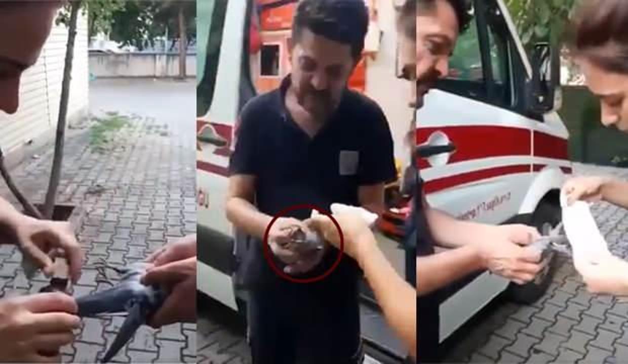 Bakan Koca paylaştı! Sağlık çalışanlarının yavru kuşa müdahale ettiği dakikalar...