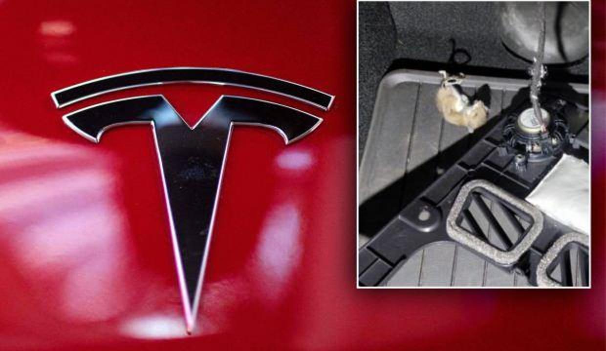 Tesla kullanıcıları şokta! Binlerce dolarlık hasar