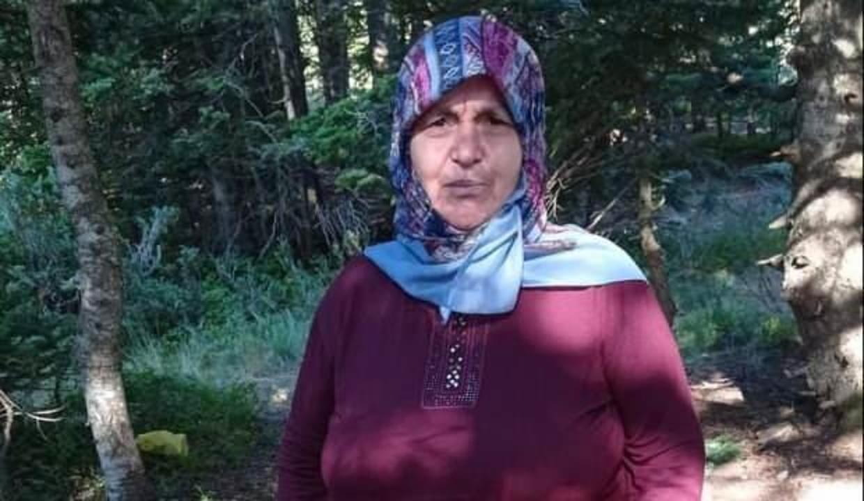 Piknik sırasında kayboldu! Uludağ'da arama çalışmaları sürüyor