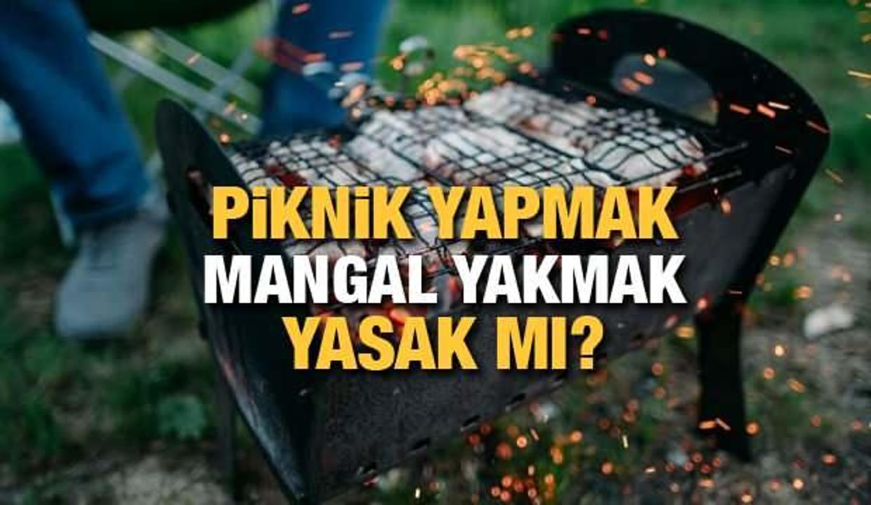 Piknik yapmak yasak mı? Hafta sonu piknik (mesire) alanlarında mangal yapmak yasak mı?