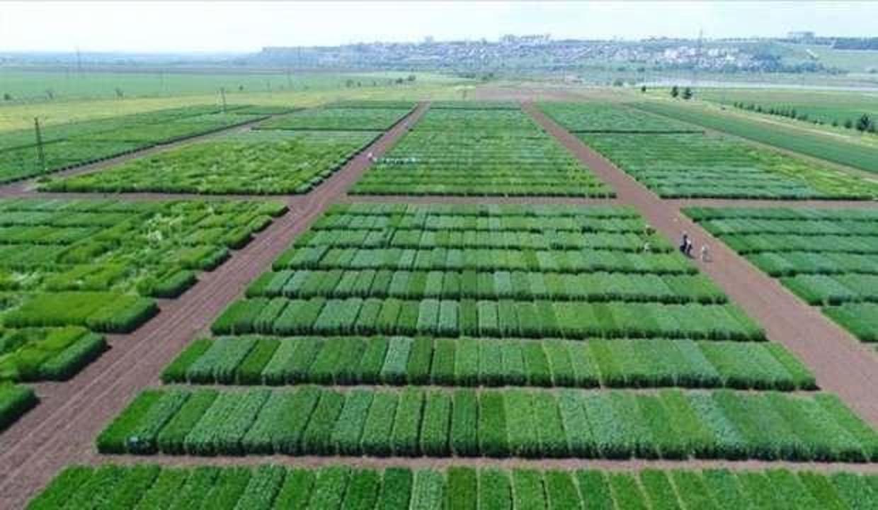 Bakanlık'tan Ar-Ge desteklerinde düzenleme